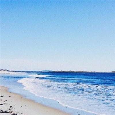 leyu乐鱼·体育app下载